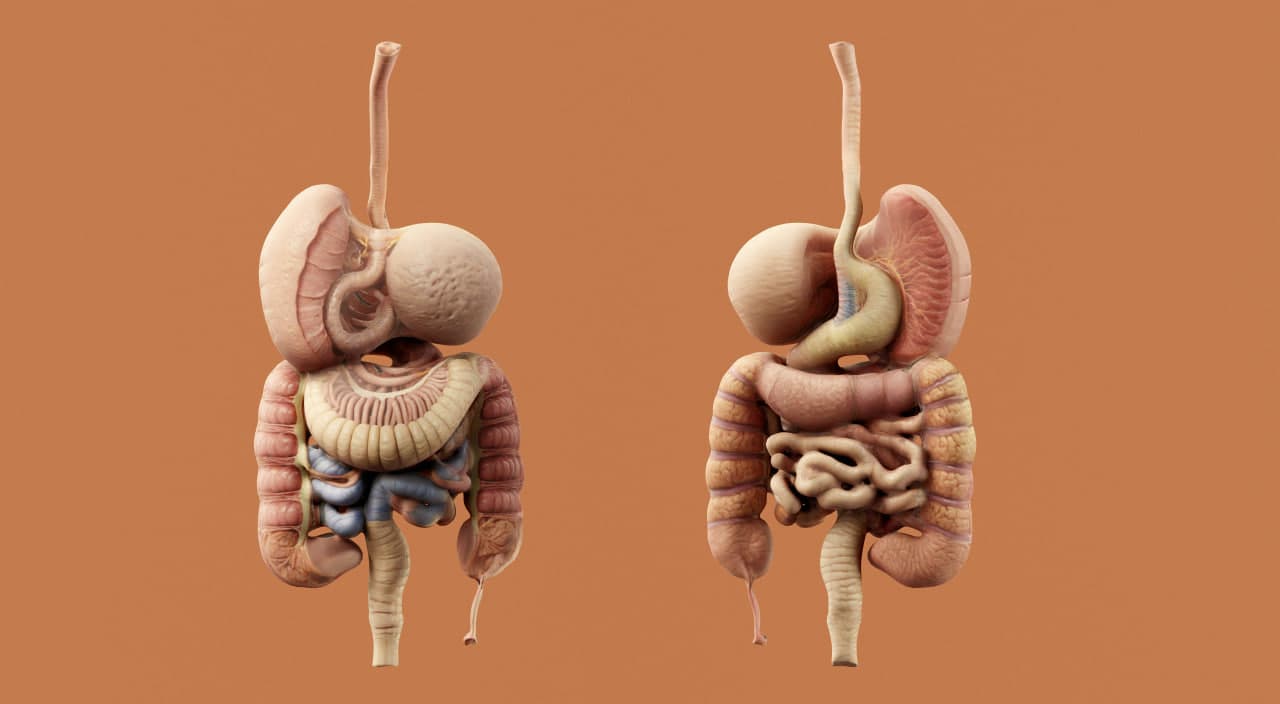 Esophageal and stomach disorder care