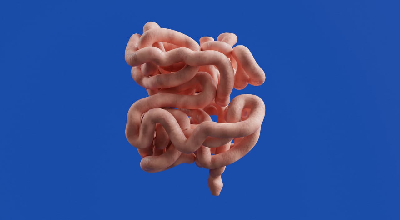 Intestinal disorder care
