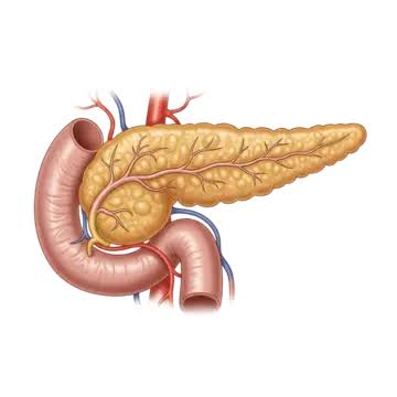 Pancreatic disorder care